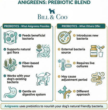 BILL & COO Anigreens Probiotics for Dogs & Cats Powder - Digestive Enzymes, Prebiotics & Superfoods