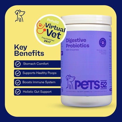 Pets 52 - Digestive Dog Probiotics with Enzymes: Supports Healthy Gut Flora, Boosts Immune Function, Promotes Stomach Comfort, Vet-Strength Formula for Improved Digestion - 30-Day Supply