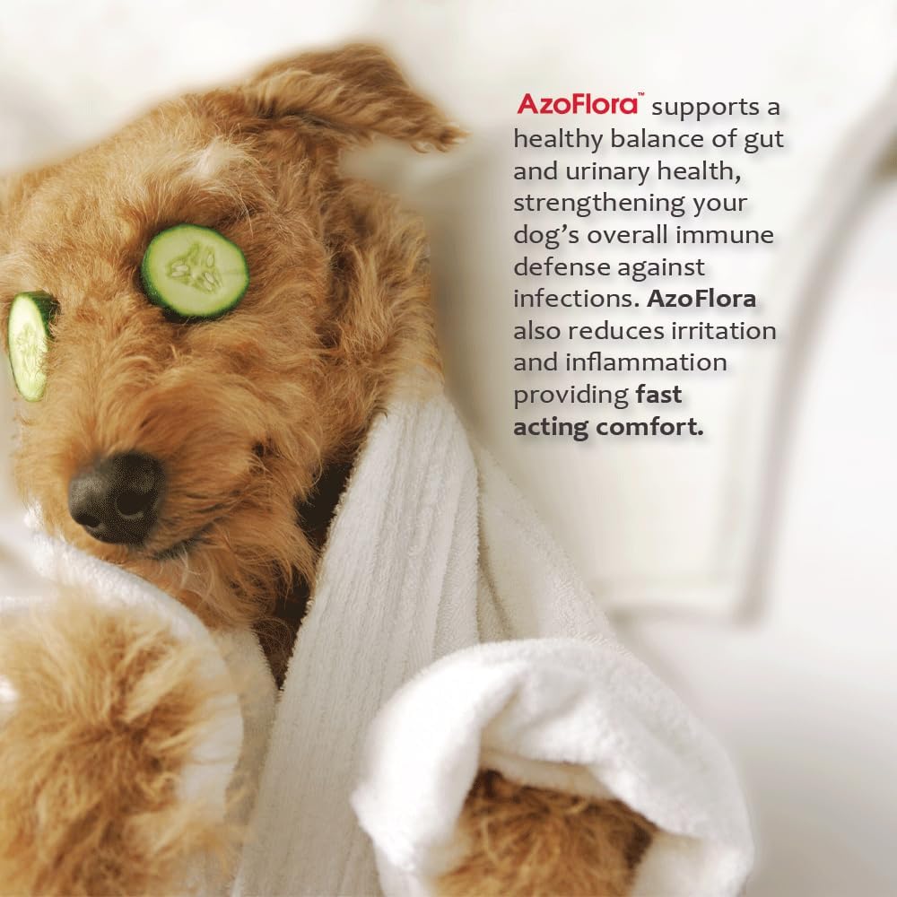 Azoflora Kidney Support Supplement for Dogs – Chicken Flavour Soft Chews (90 Count) - görsel 6