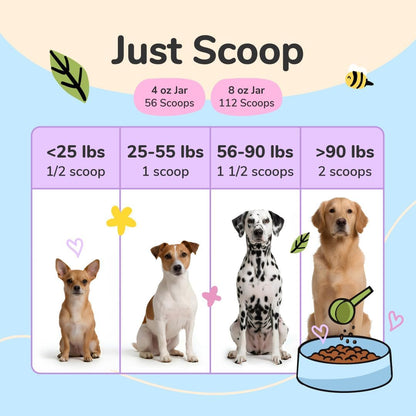 kin+kind Skin and Coat Supplement for Dogs & Cats – Organic Whole-Food Supergreens – 8 oz