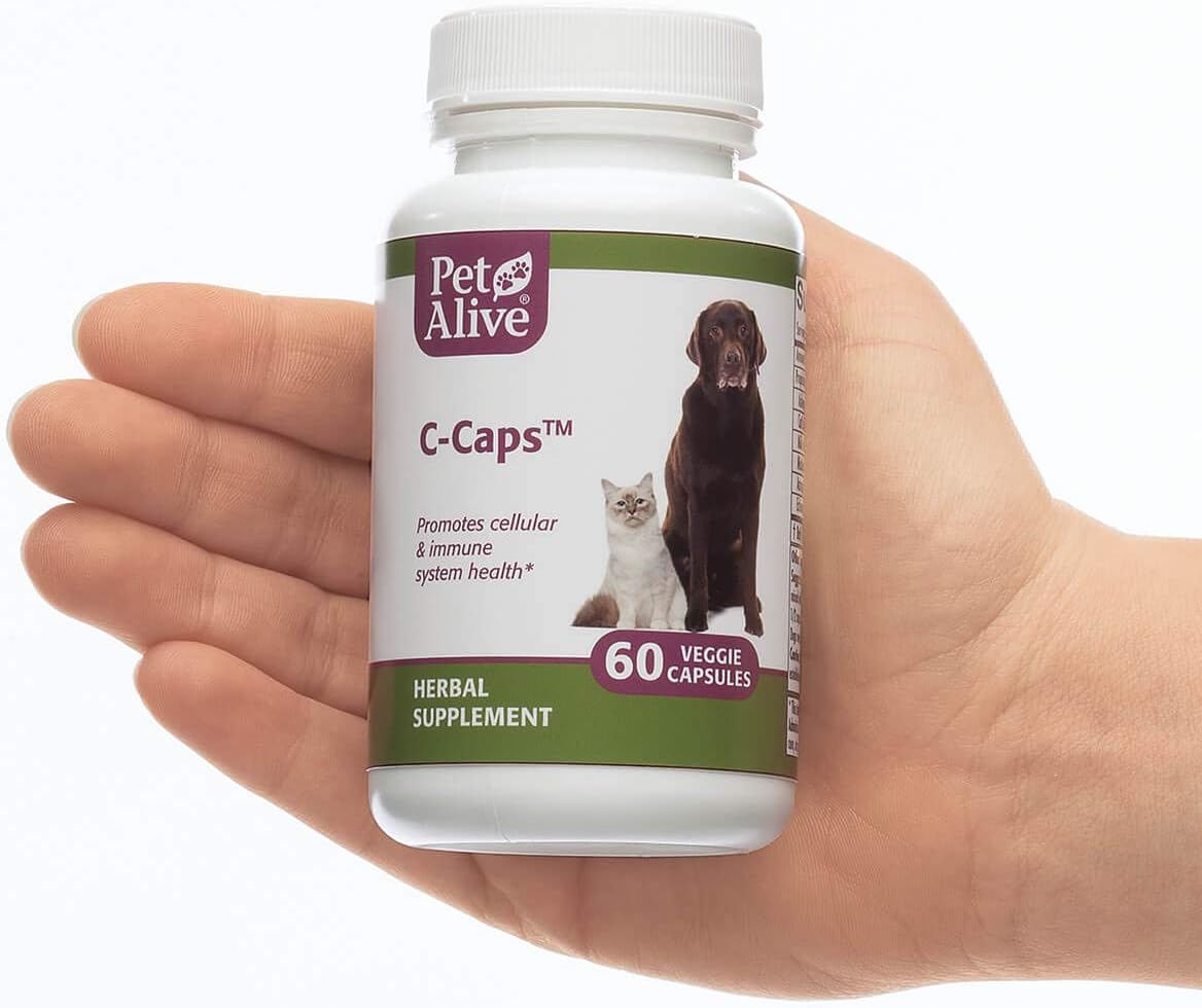 PetAlive C-Caps Immune Support Supplement for Dogs and Cats (2 Pack) - görsel 3