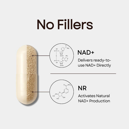 GentRx Third-Party Tested NAD+ & NR Supplement – Nicotinamide Riboside for Cellular Energy and Healthy Ageing, 30-Day Supply