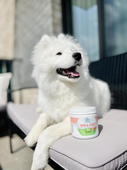 Four Paws Healthy Promise Dog Skin and Coat Supplement Soft Chews 90 Count