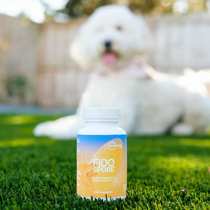 Microbiome Labs Fidospore Dog Probiotics – Spore-Forming Digestive & Immune Support (30 Capsules)