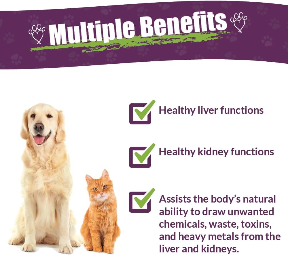 AMBER NATURALZ Internal Gold Detox Kit for Pets – Herbal Liver and Kidney Support - görsel 2