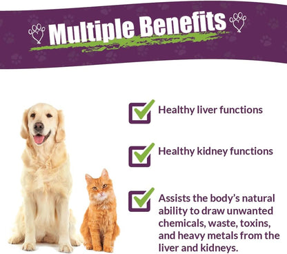 AMBER NATURALZ Internal Gold Detox Kit for Pets – Herbal Liver and Kidney Support