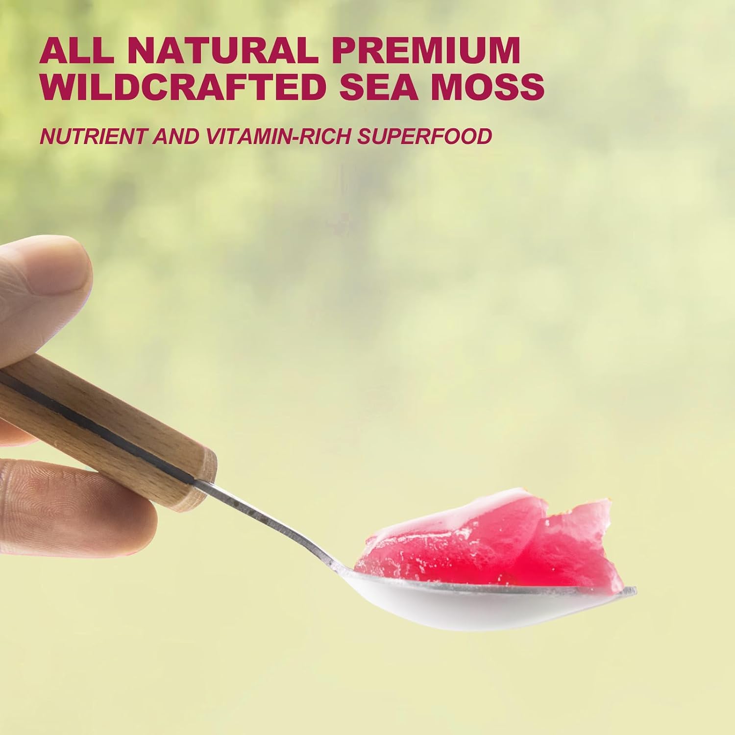 SumDIP 525 g Raw Wild-Harvested Irish Sea Moss Gel with Elderberry & Ginger - görsel 4