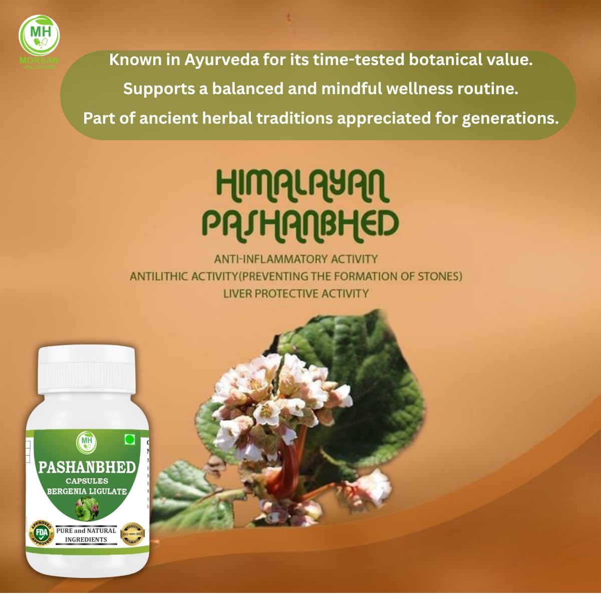 Pashanabheda (Bergenia ligulata) Powder Capsules - 500mg, 240 Vegetable Capsules - görsel 6