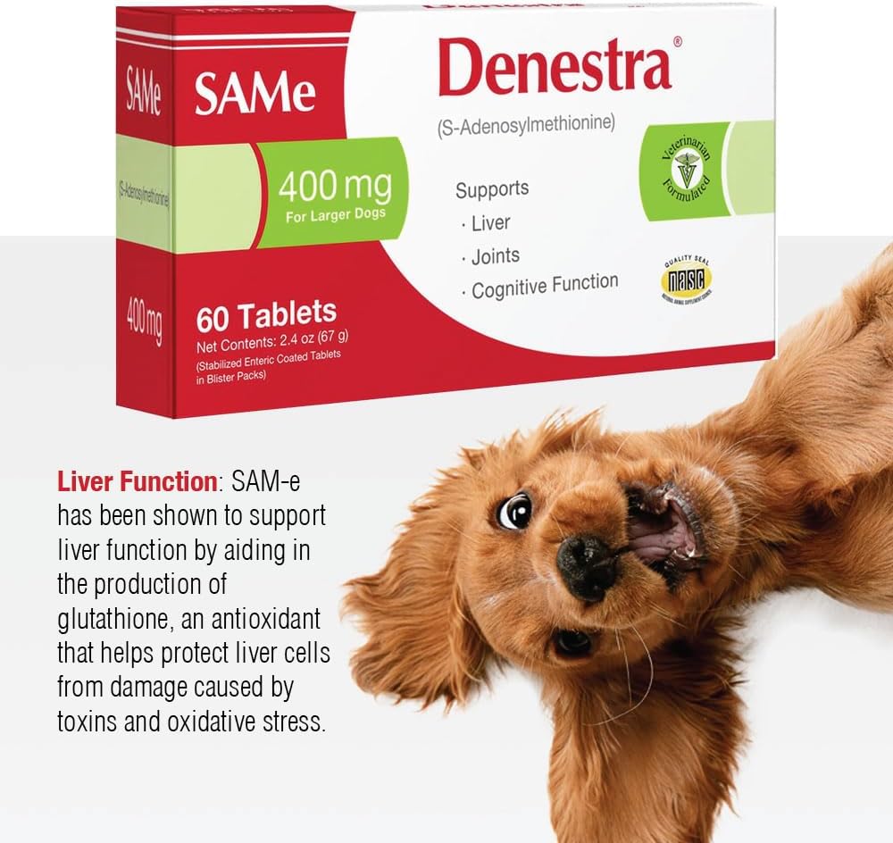 Denestra Same for Dogs – S-Adenosyl-L-Methionine (Same) – Liver, Joint & Cognitive Support for Dogs – Promotes Brain Function & Mobility – Vet-Approved Formula – 200 mg – 60 Tablets - görsel 3