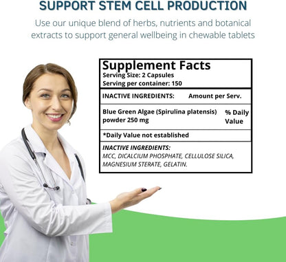 Bioxtron AFA Stem Cell Food Supplement - Stem Cell Renewal, Joint & Immune Support - 300 Capsules