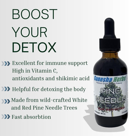 Ganesha Herbs Pine Needle Liquid Tincture – Dual Extract, 2 fl oz