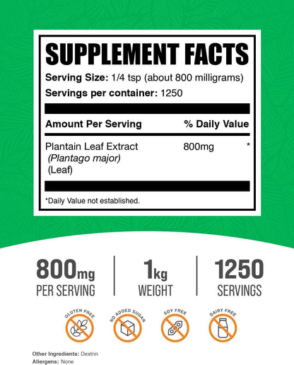 BulkSupplements.com Plantain Leaf Extract Powder - Plantain Leaf Supplement, 800mg per Serving, 1kg (2.2 lbs)
