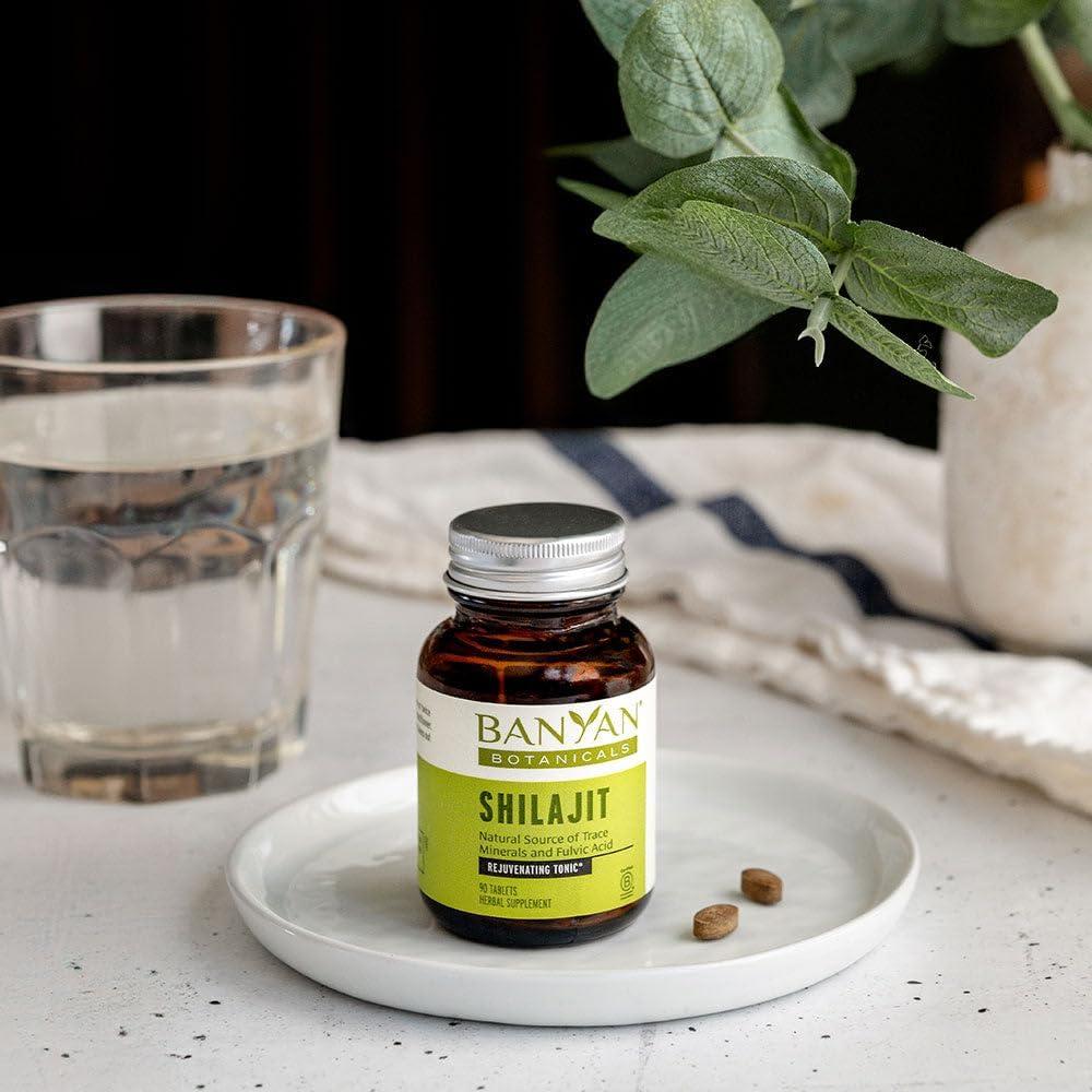 Banyan Botanicals Shilajit – 90 Pure Pressed Tablets for Energy & Vitality - görsel 5