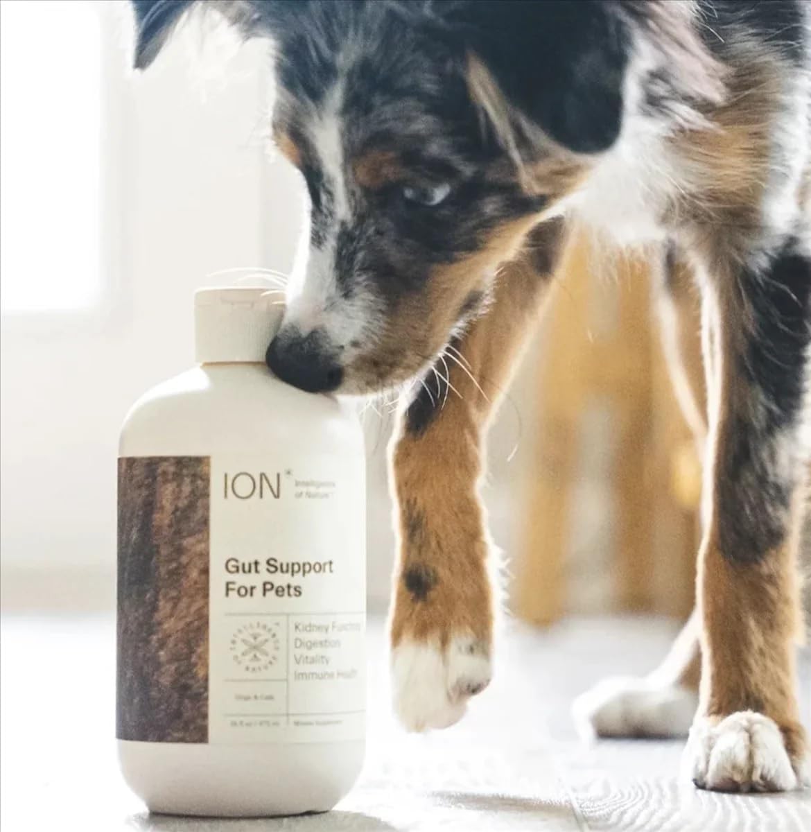 ION* Intelligence of Nature Gut Support for Pets – Liquid Digestive Health Supplement for Dogs and Cats, 473 ml - görsel 2