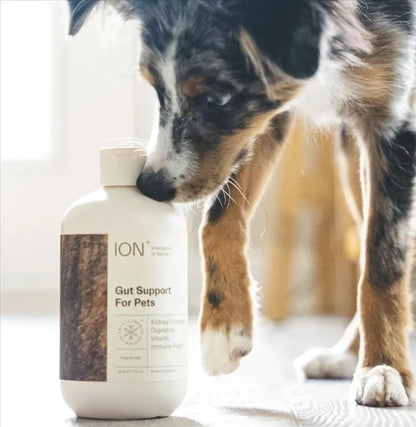 ION* Intelligence of Nature Gut Support for Pets – Liquid Digestive Health Supplement for Dogs and Cats, 473 ml