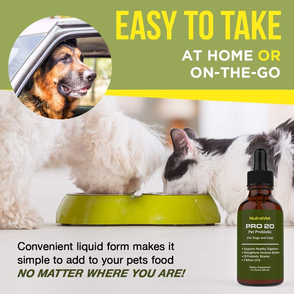 NutraVet Probiotics for Dogs and Cats - Liquid Digestive Enzyme Supplement with 20 Strains, 120 Servings - görsel 6