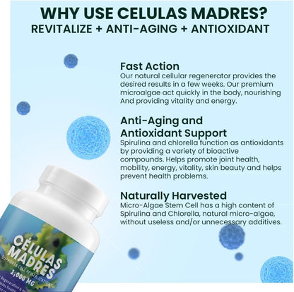 EXPLENDUS 4 Celulas Madres AFA Stem Natural Cell - Blue Green Algae Supplement, 60 Capsules, 1000 mg, Non-GM, Gluten-free