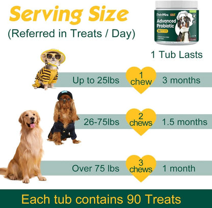 PetriMins Advanced Probiotic for Dogs, Digestive and Immune Support, 90 Chews, Chicken Flavour