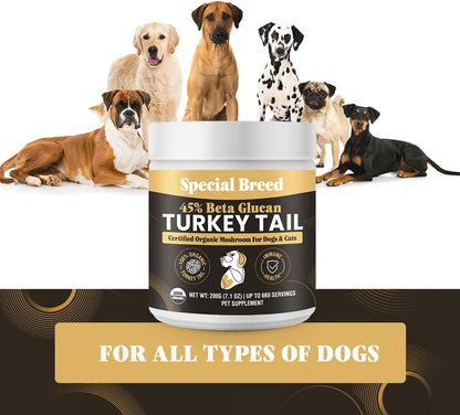 Special Breed Organic Turkey Tail Mushroom for Dogs and Cats, 660 Servings