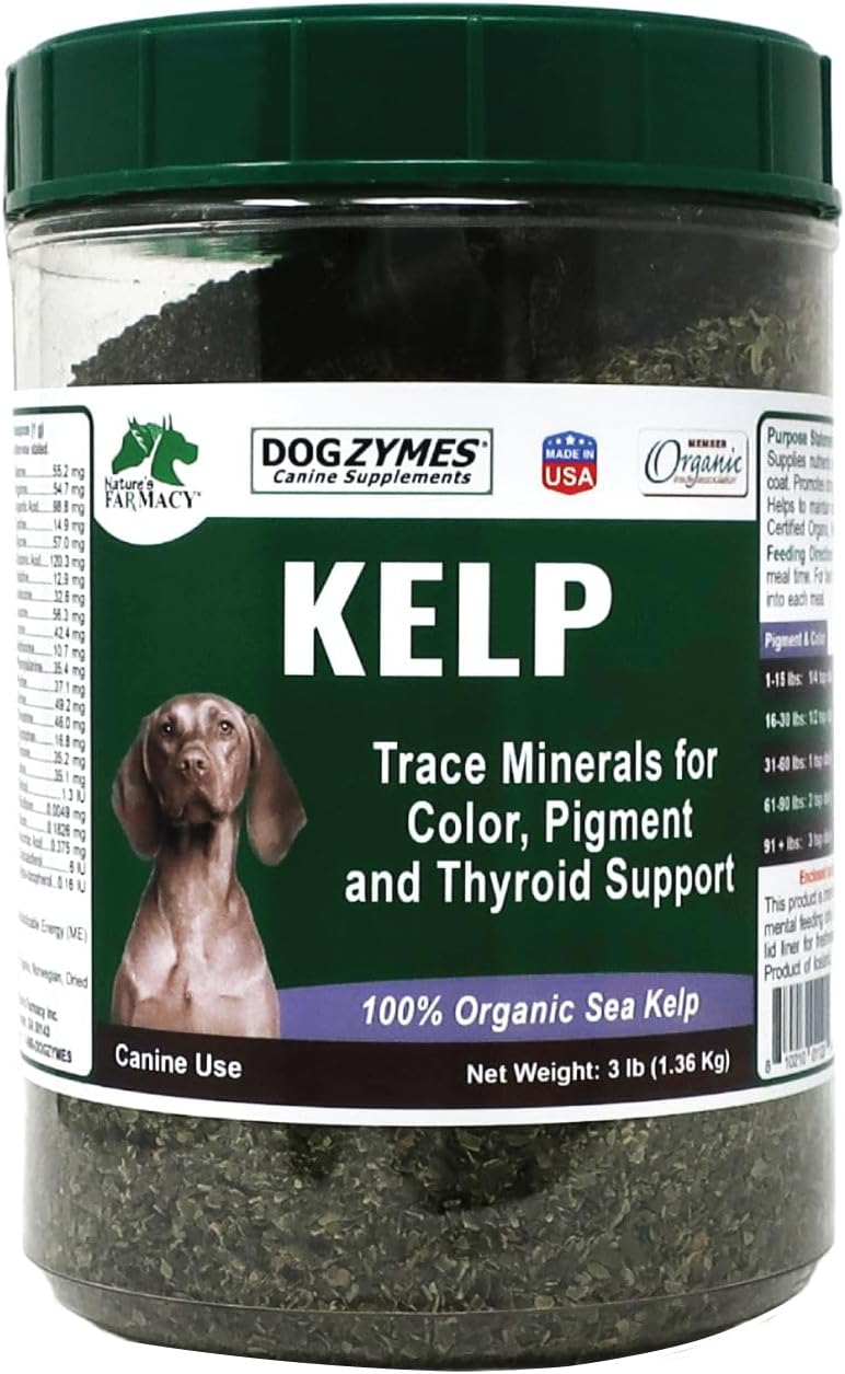 Dogzymes Organic Norwegian Kelp for Pets – 340g - görsel 8