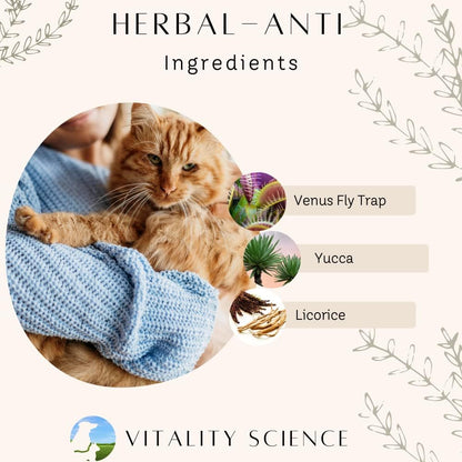 Vitality Science Advanced Immune Restoration Supplements for Dogs | Intensive Regeneration Protocol | Helps with Pain Relief (Medium)