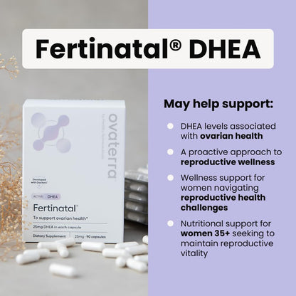 Fertinatal Micronised DHEA Female Natural Plant-Based Fertility Supplement 90-25mg Capsules