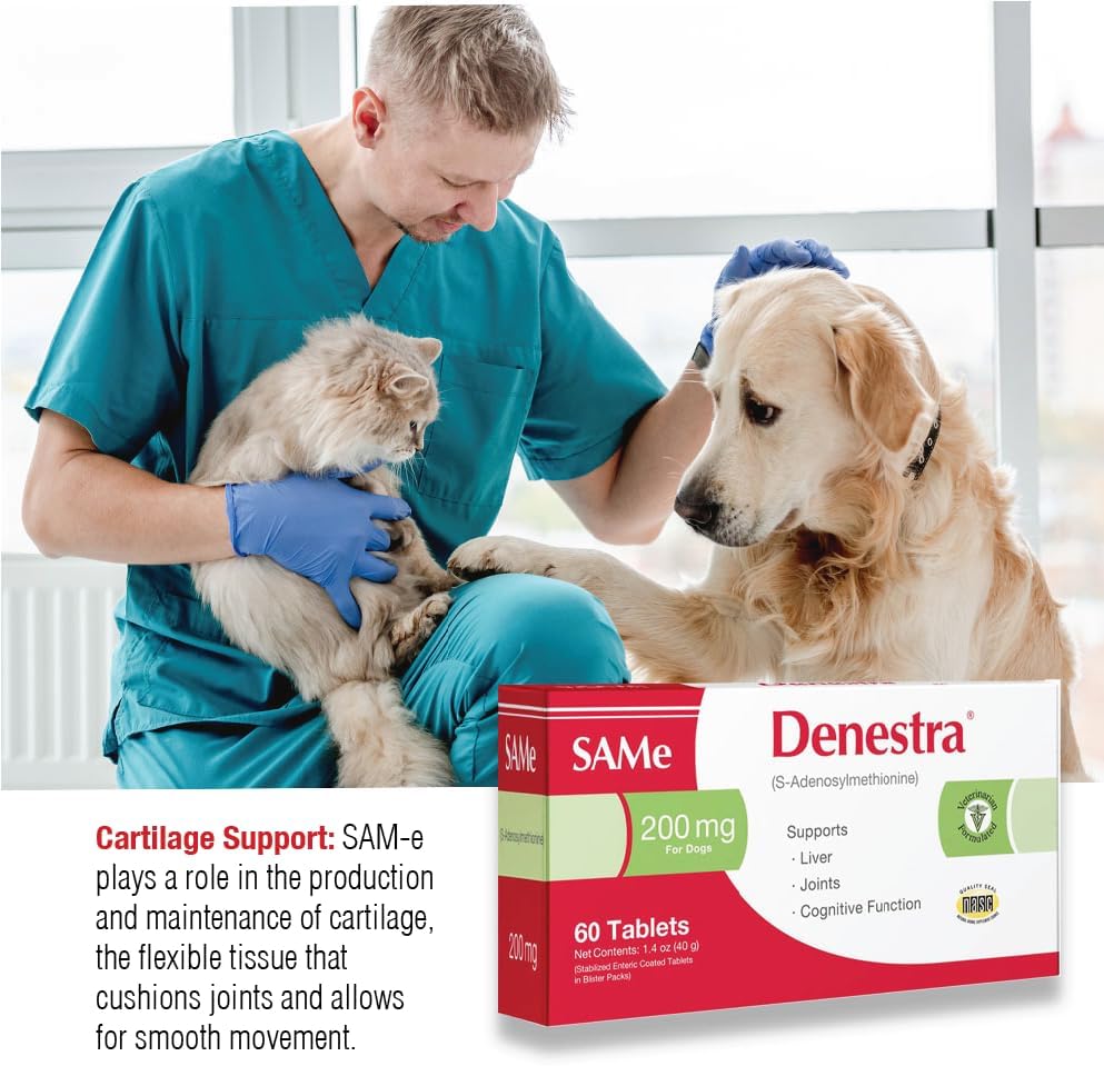 Denestra Same for Dogs – S-Adenosyl-L-Methionine (Same) – Liver, Joint & Cognitive Support for Dogs – Promotes Brain Function & Mobility – Vet-Approved Formula – 200 mg – 60 Tablets - görsel 4