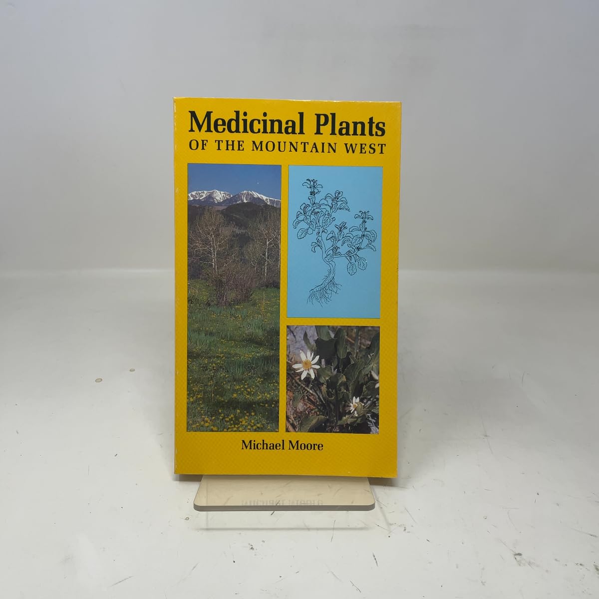 Medicinal Plants of the Mountain West - görsel 6