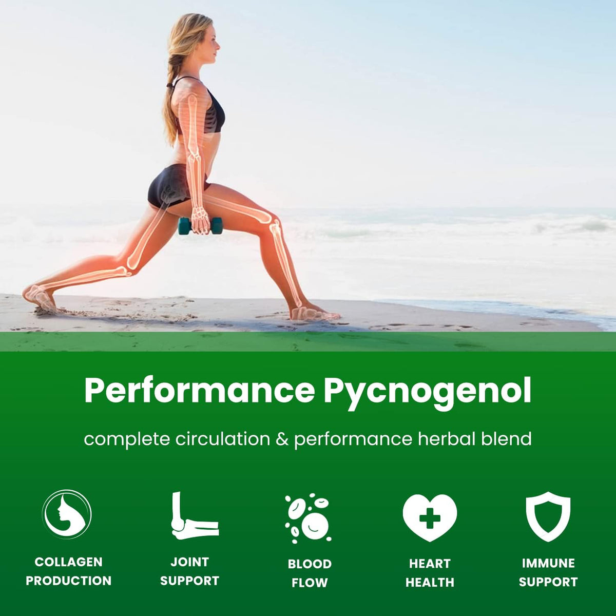 NutraChamps Pycnogenol French Maritime Pine Bark Extract - 60 Capsules - görsel 4