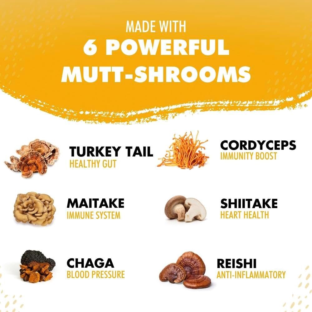 iHeartDogs Turkey Tail Mushroom for Dogs with Bone Broth and 6 Mushroom Blend Powder - görsel 9