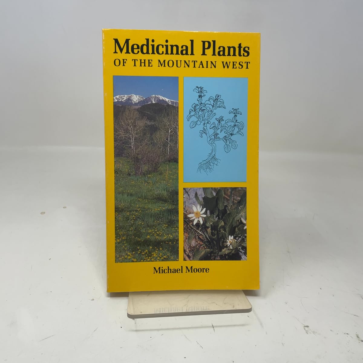 Medicinal Plants of the Mountain West - görsel 1
