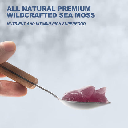 SumDIP Sea Moss Gel, Blueberry, 525g - Raw Irish Seamoss for Immune & Digestive Support