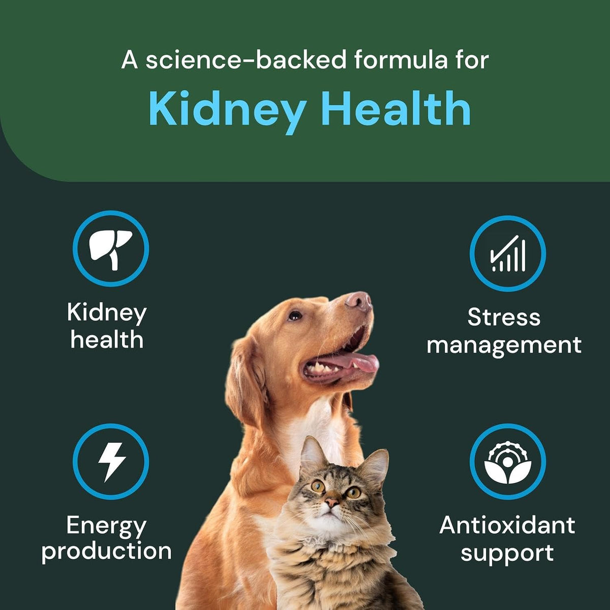 Vetriscience Veterinary Strength Kidney Health Chews - Balanced Kidney Support for Pets - Feline & Canine Renal Support - Holistic Formula - Chicken Liver Flavour - 60 Count - görsel 4