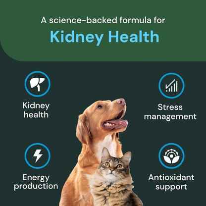 Vetriscience Veterinary Strength Kidney Health Chews - Balanced Kidney Support for Pets - Feline & Canine Renal Support - Holistic Formula - Chicken Liver Flavour - 60 Count
