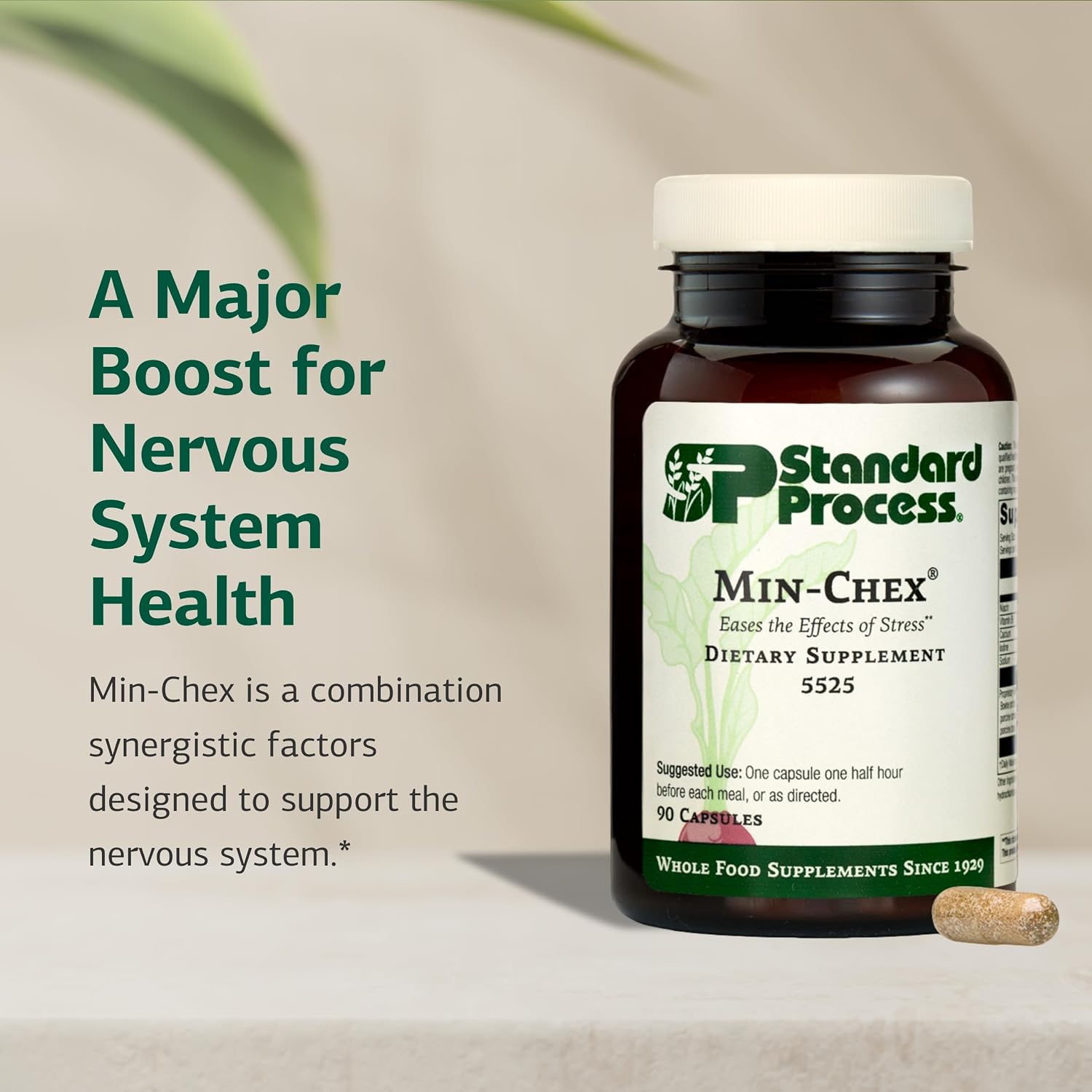 Standard Process Min-Chex – Nervous System Support Supplement, 90 Capsules - görsel 3
