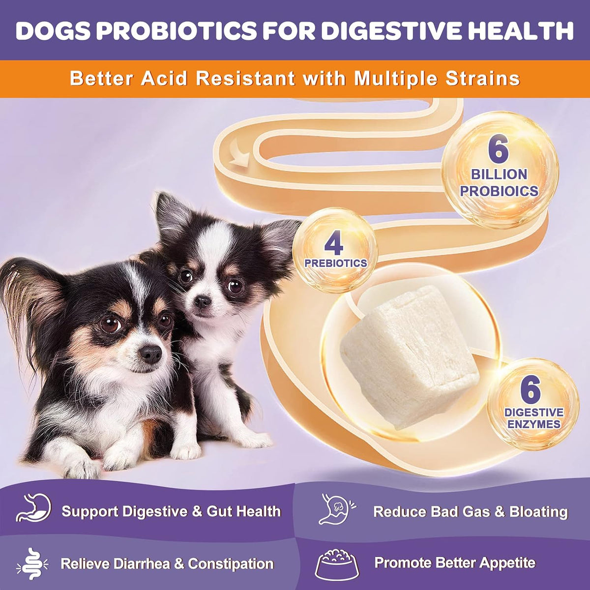 NATURE TARGET Probiotics for Dogs, 6 Billion Freeze-Dried Dog Probiotics with Prebiotics, Enzymes, Vitamins & Omega-3, for Digestive and Gut Health, Itching Relief, Reduced Diarrhoea, 120 Chews - görsel 2