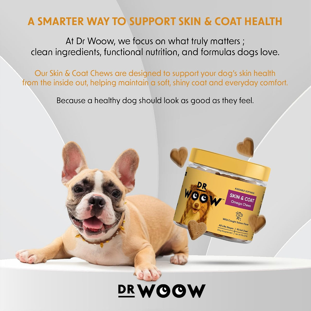 DR WOOW Omega-3 Soft Chews for Dogs – Skin & Coat Support (90 Count) - görsel 6