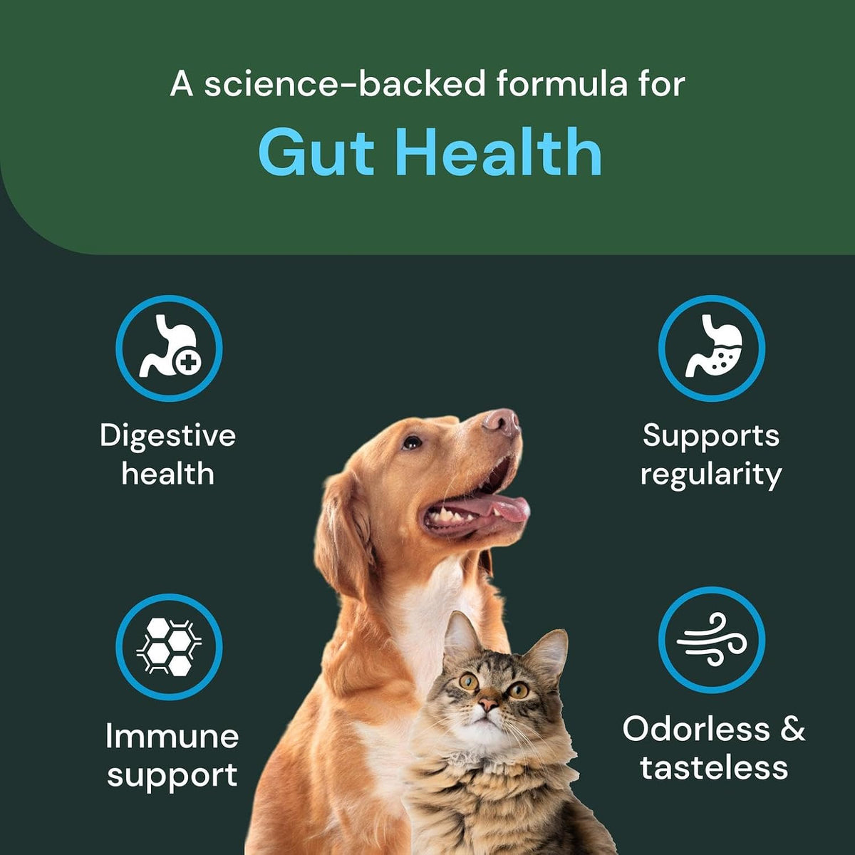 VetriScience Veterinary Strength Gut Health Powder – Probiotic for Dogs & Cats, 60 Servings - görsel 4