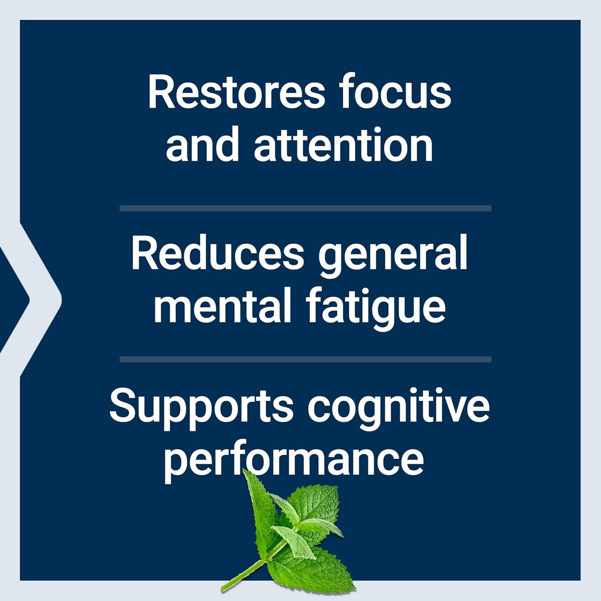 Life Extension Brain Fog Relief, Mango Leaf Extract, Standardised Peppermint Oil, Nootropic Supplement for Clarity and Focus, Fast-Acting, Caffeine-Free, Gluten-free, Non-GMO, 30 Softgels - görsel 4
