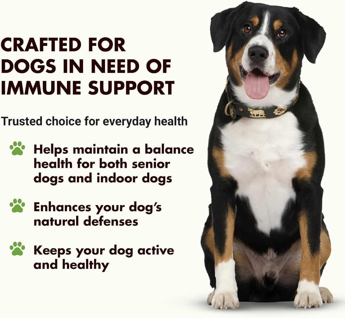 Immune Support for Dogs – Antioxidant & Gut Health – Inulin, Beta-Glucan & Omega-3s – Liquid for Picky Eaters - görsel 2