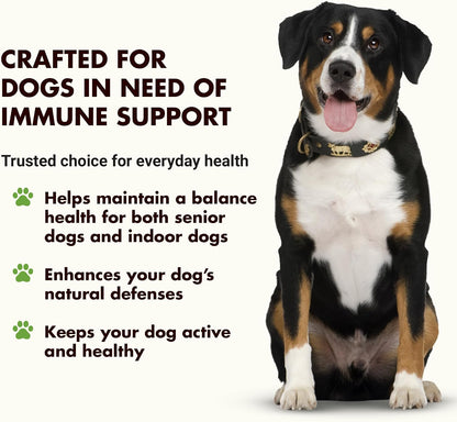 Immune Support for Dogs – Antioxidant & Gut Health – Inulin, Beta-Glucan & Omega-3s – Liquid for Picky Eaters