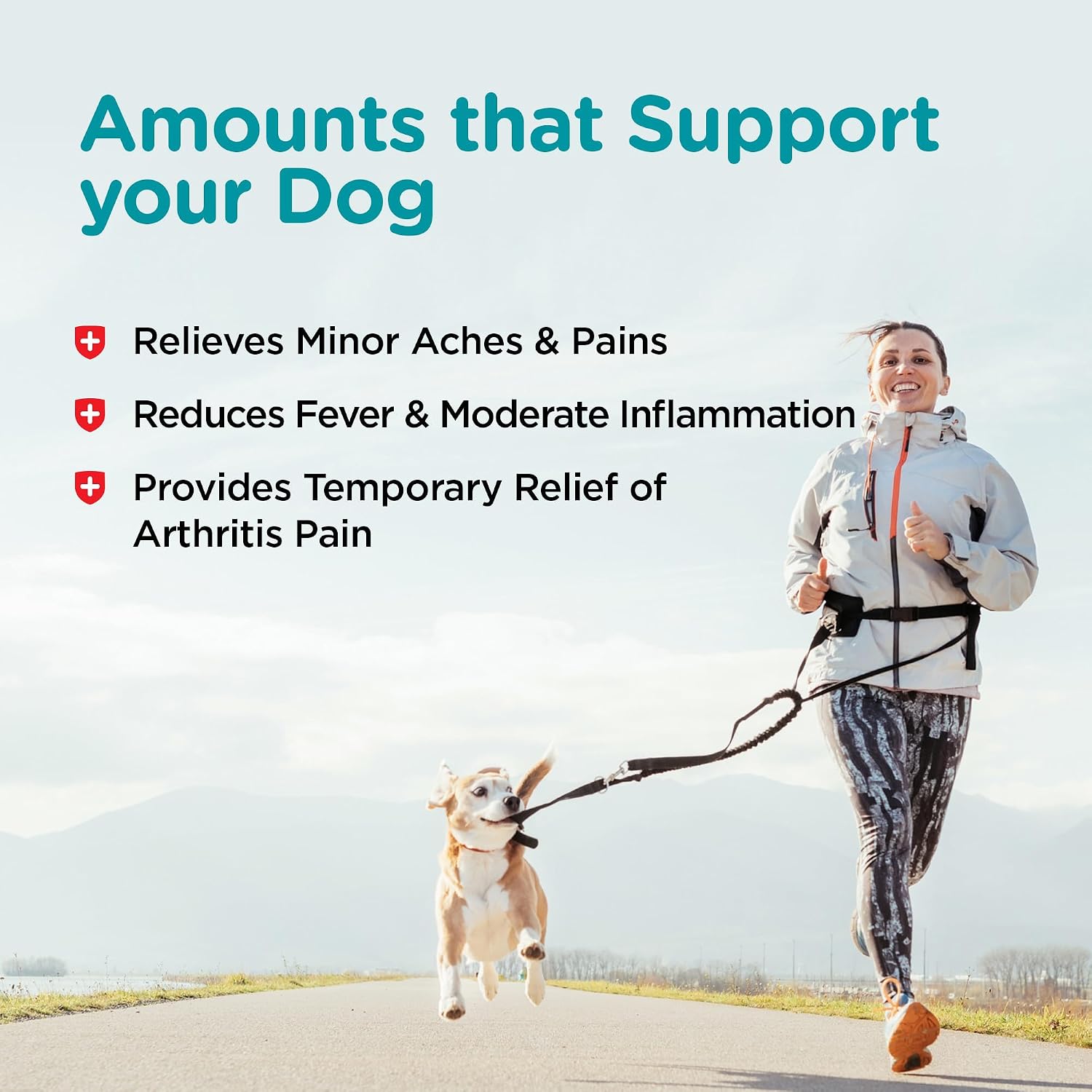 Nutri-Vet Aspirin for Dogs 120 mg - Temporary Pain Relief for Small to Medium Dogs, 100 Tablets - görsel 4