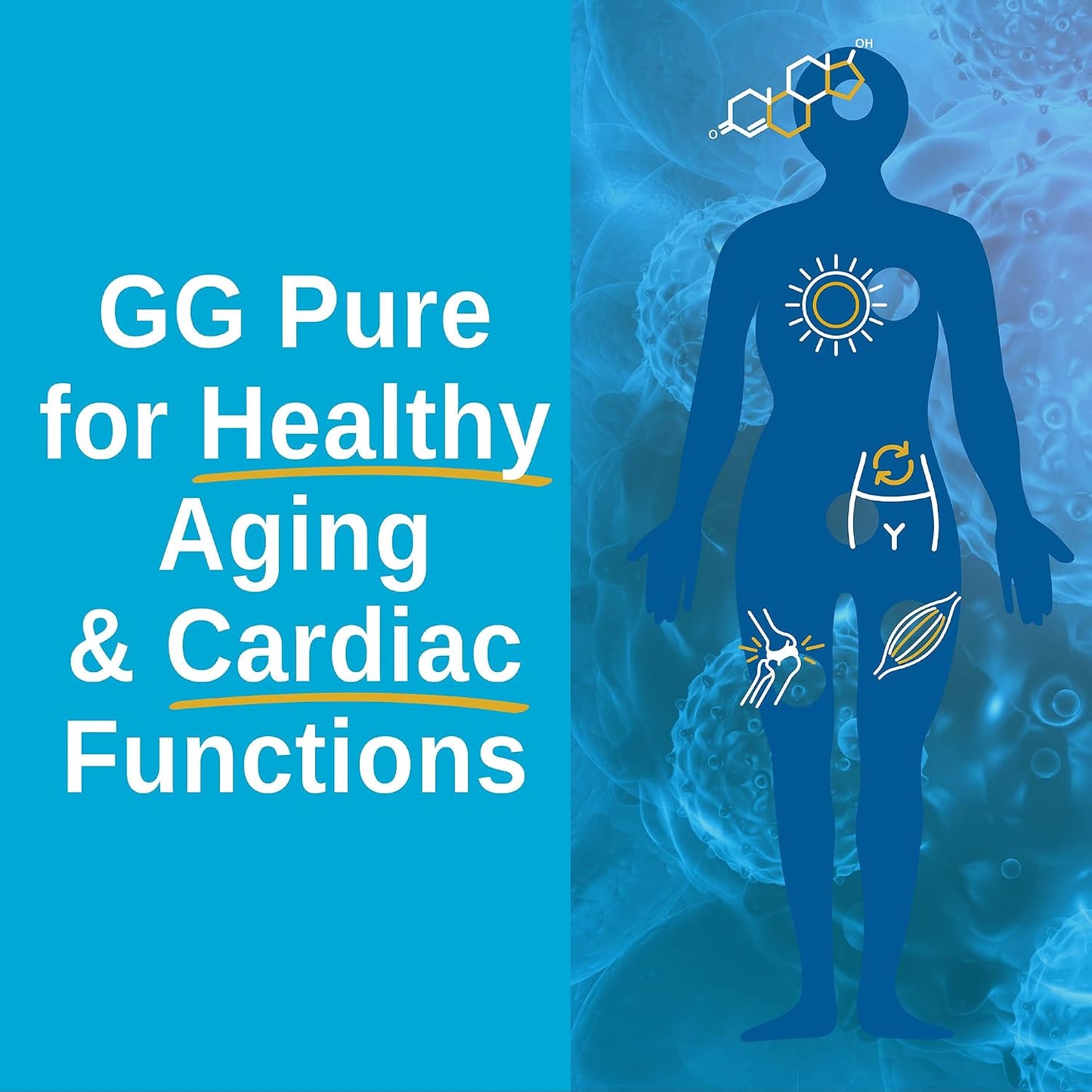 Xtendlife GG Pure for Statin Users – Geranylgeraniol 150mg for CoQ10 Support, Bone, Muscle & Heart Health – 30 Servings - görsel 5