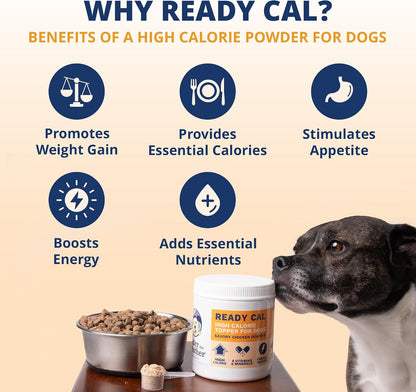 Under the Weather Ready Cal Powder for Dogs, High-Calorie Weight Gainer & Appetite Stimulant, Chicken Flavour | 300 g (10.58 oz)