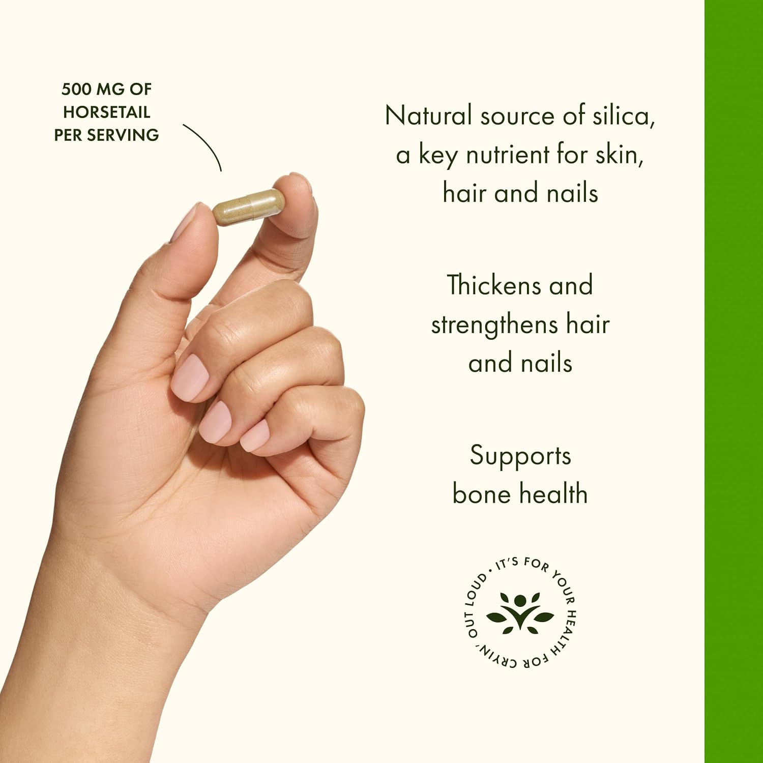 Swanson Horsetail - Herbal Supplement for Healthy Hair, Skin & Nails - 500 mg, 90 Capsules - görsel 4