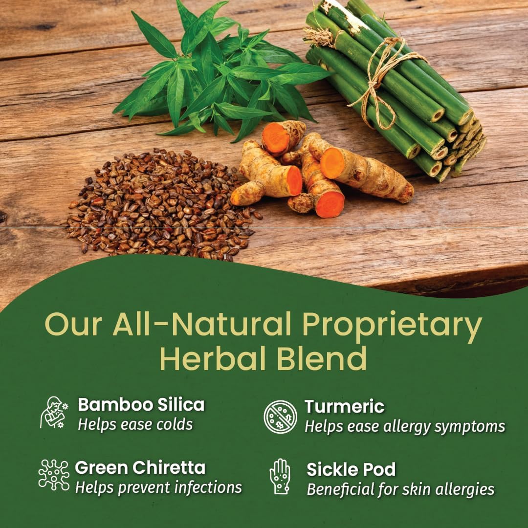 Kerala Ayurveda Histantin (100 Tablets) - görsel 5