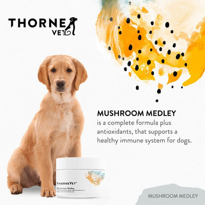 Mushroom Medley for Dogs - Immune Support Plus Antioxidants - with Reishi, Turkey Tail, Cordyceps, Maitake, and Chaga Mushrooms - Support for Dogs with Compromised Immunity - 120 Scoops