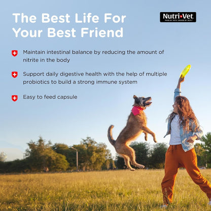 Nutri-Vet Probiotics for Dogs - Digestive Health & Immune Support, Vet-Formulated, 60 Capsules