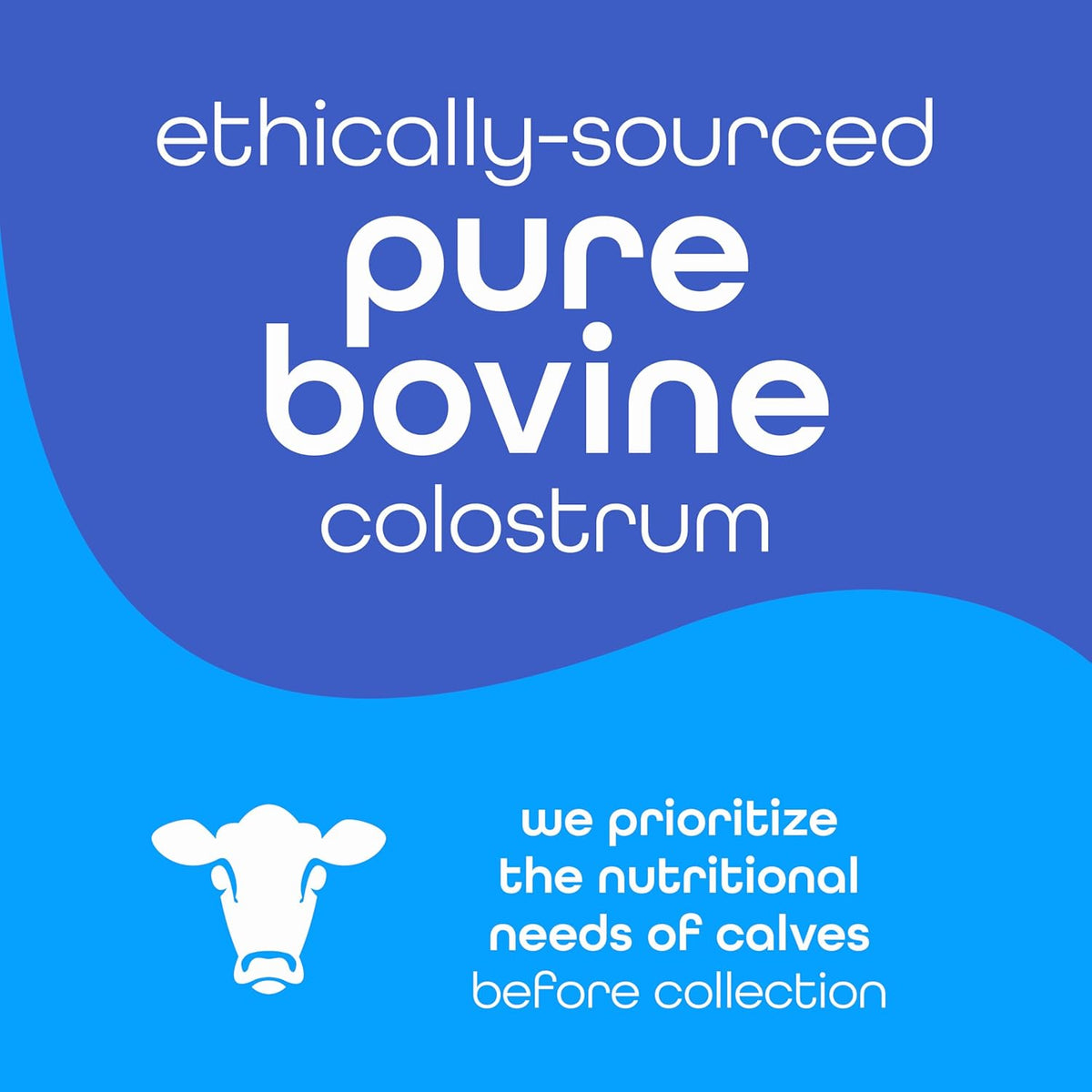 Zena Nutrition Bovine Colostrum Powder Supplement - 1000mg Pure Colostrum, Grass Fed, Unflavoured, 30 Servings - görsel 3