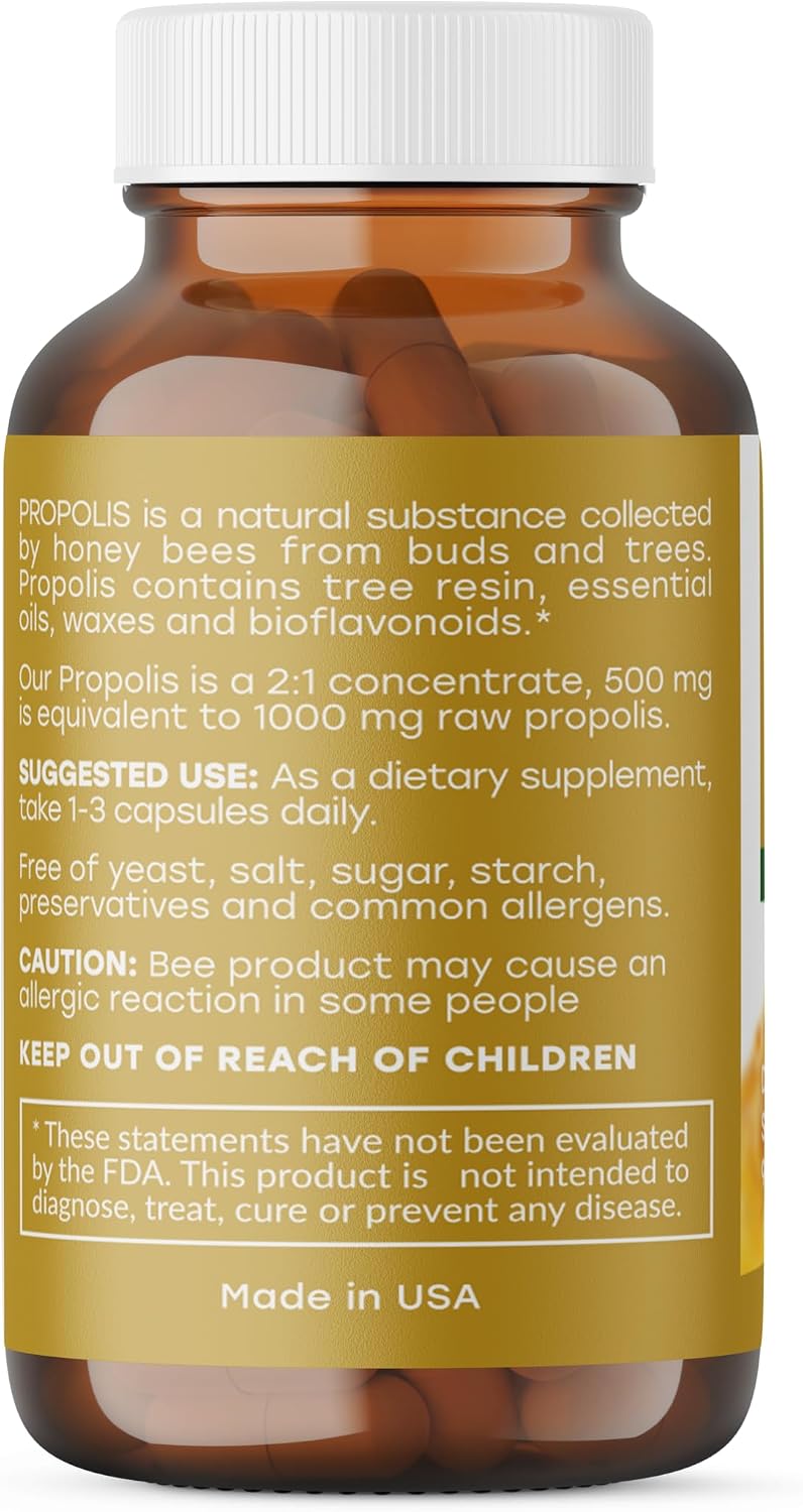 Propolis Standardised, 1000 mg, 90 Capsules - görsel 2